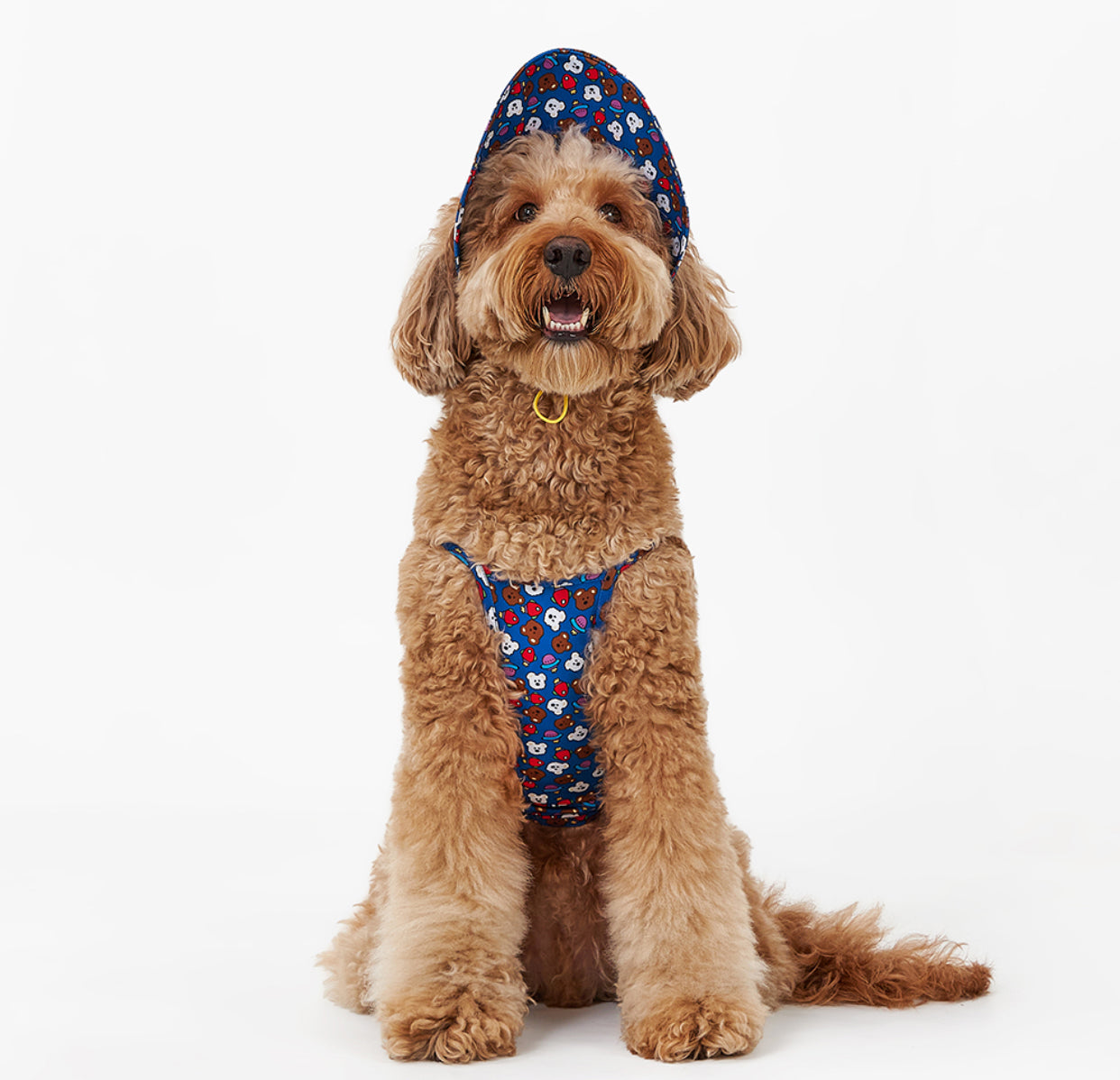 WooZoo Bucket Hat(ウジュ バケットハット)