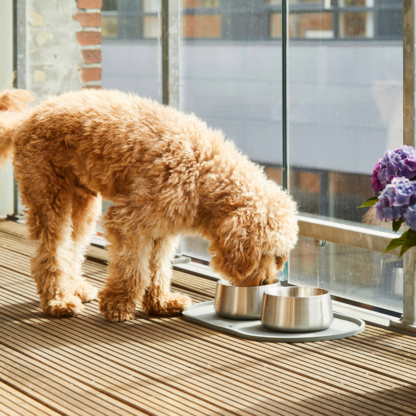 ベガボウル