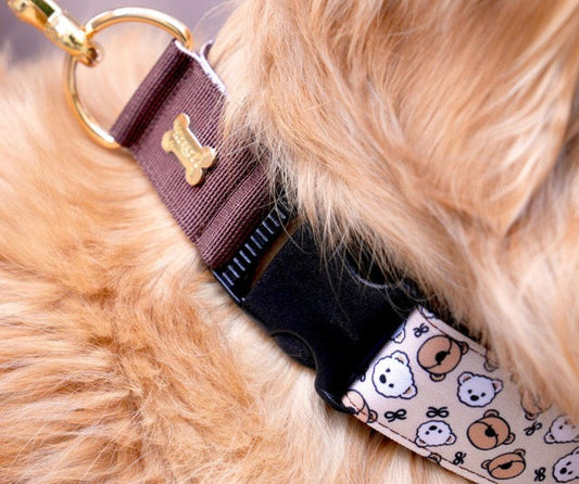 Teddy C Collar(テディシー 首輪）