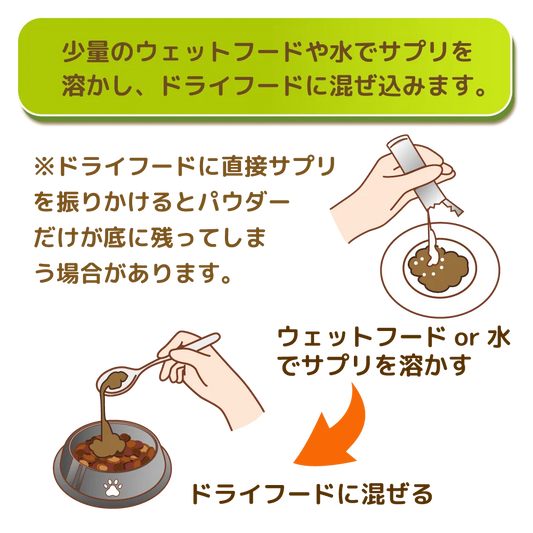 イツモエラス